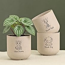 Eha Earth-Friendly Printed Small Terrapod Planters for Home Decor | 3.5 Inch, Pack of 3 | Plant Gifts Made with Rice Husk Biocomposite | Flower Pot for Living Room| Sand Castle