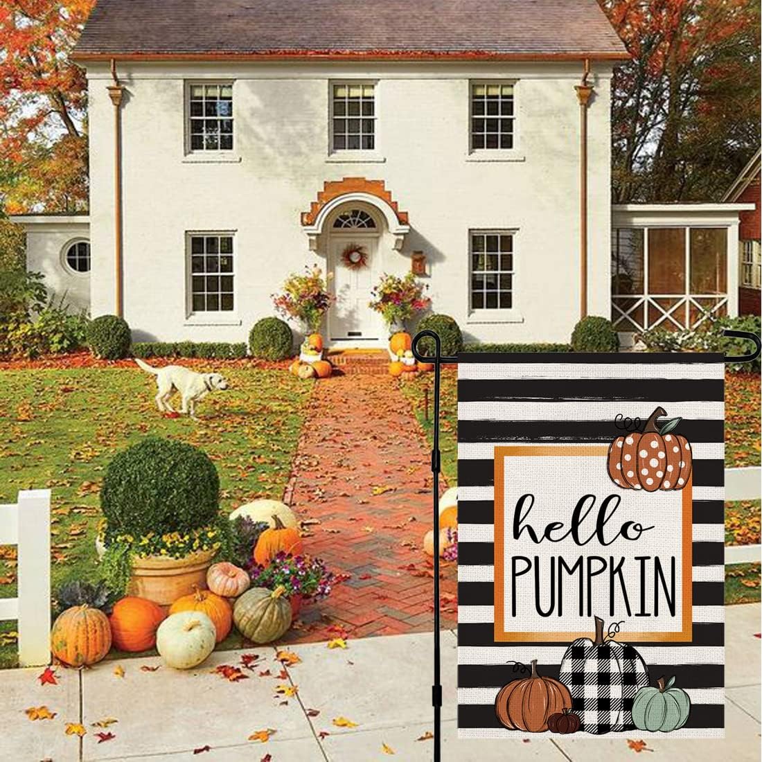 Fall Garden Flag Hello Pumpkin Sign 12 x 18 Inch Double Sided Autumn Farmhouse Seasonal Yard Outdoor Thanksgiving Decor DF082