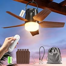Outdoor Ceiling Fans for Patios, 20" Portable Ceiling Fan with Light Remote