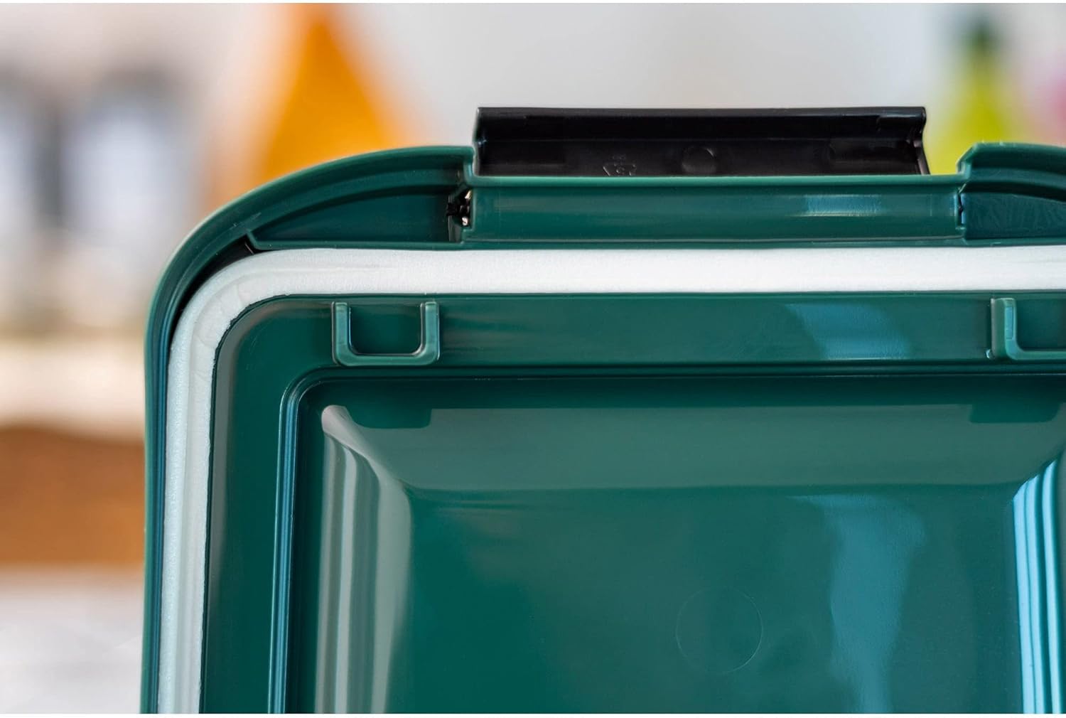 Iris Food Storage Container for Dogs, 10 lbs., Small : Pet Supplies