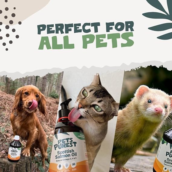 Pets Purest Scottish Salmon Oil For Dogs, Cats, Horse, Ferret & Pet - Pure Omega 3, 6 & 9 Fish Oil Food Treats Supplement for Natural Coat, Immune Support, Itchy Skin, Joint & Brain Health (2500ml)