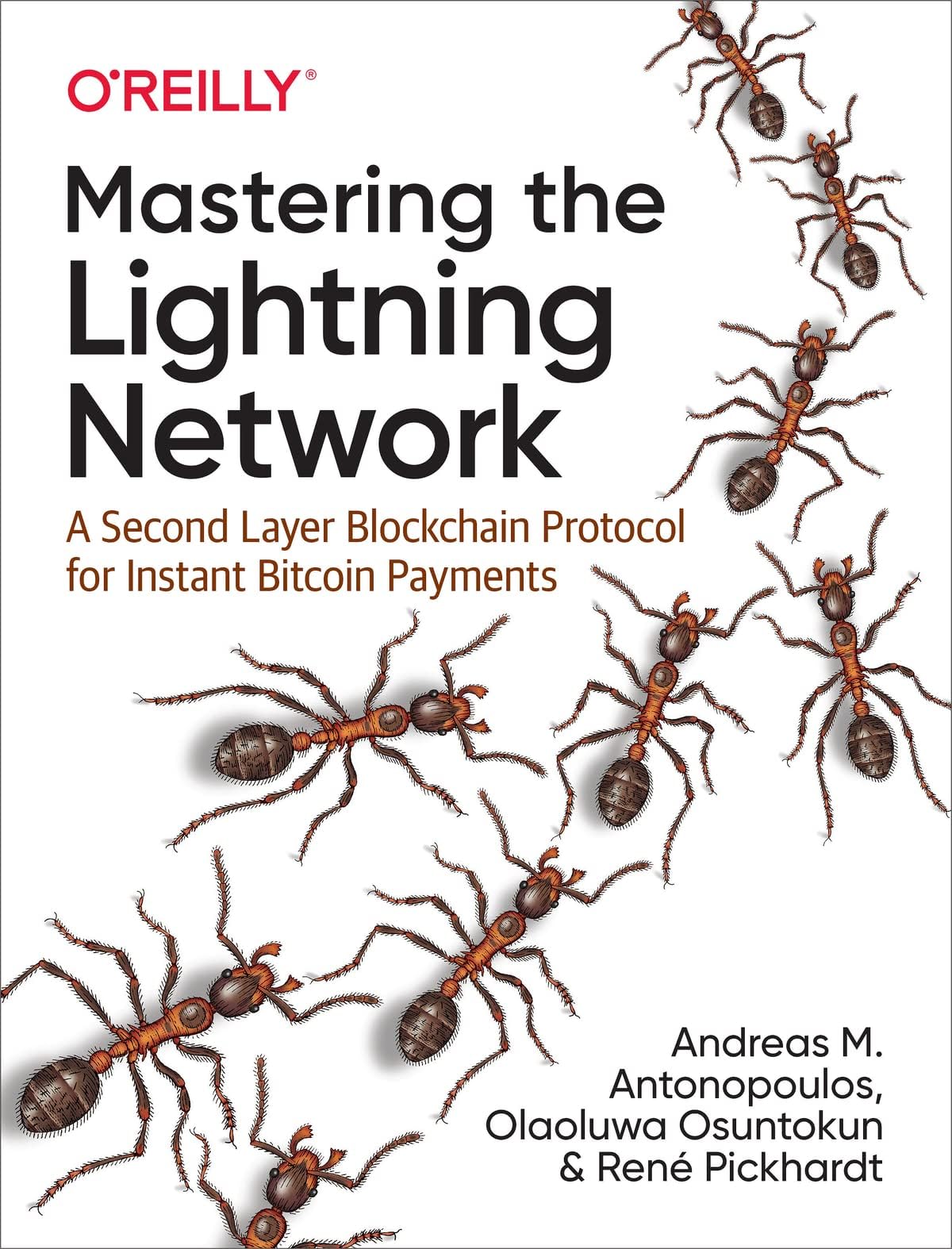 Mastering the Lightning Network: A Second Layer Blockchain Protocol for Instant Bitcoin Payments Paperback – 30 Nov. 2021