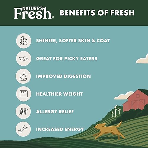 Miniatura 6 de FreshPet Receta de pollo sin granos para perros, 1.75 libras