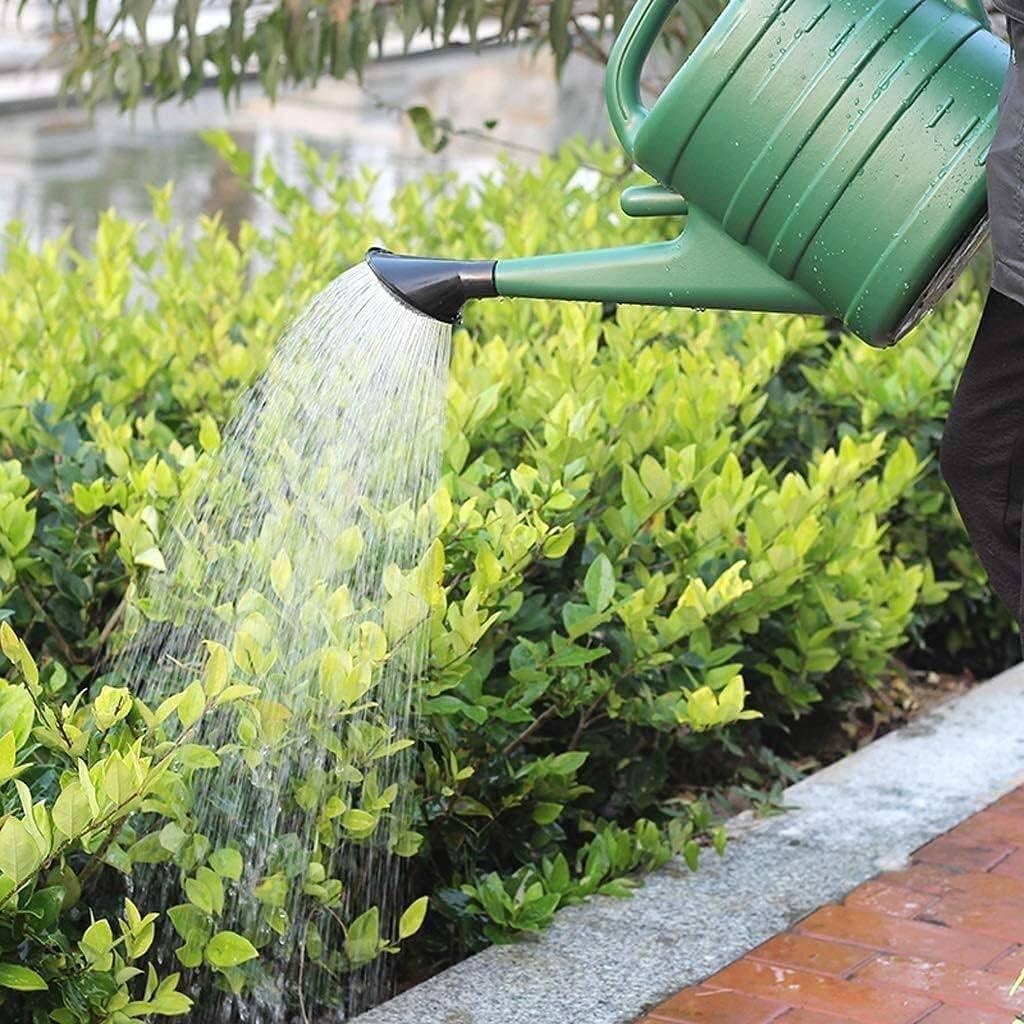 5 Liter Watering Can With Detachable Nozzle - Large Capacity for Indoor and Outdoor Garden Use, Green