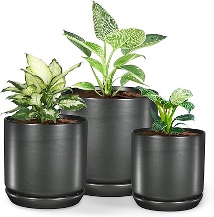 Amazon Co Jp 米国topブランド 植木鉢 室内屋外観葉植物 多肉 花植物サボテン セラミック 3個セット マットグレー円筒 底穴あり 受皿付き 国内正規品 Diy 工具 ガーデン