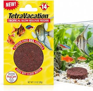 Tetra tropical fish slow-release vacation feeder block