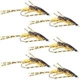 The Fly Fishing Place Double Bead Nymph Fly Fishing Flies - Mike's Golden Stone with Barred Rubber Legs - Stonefly Wet Fly - 6 Flies Hook Size 10