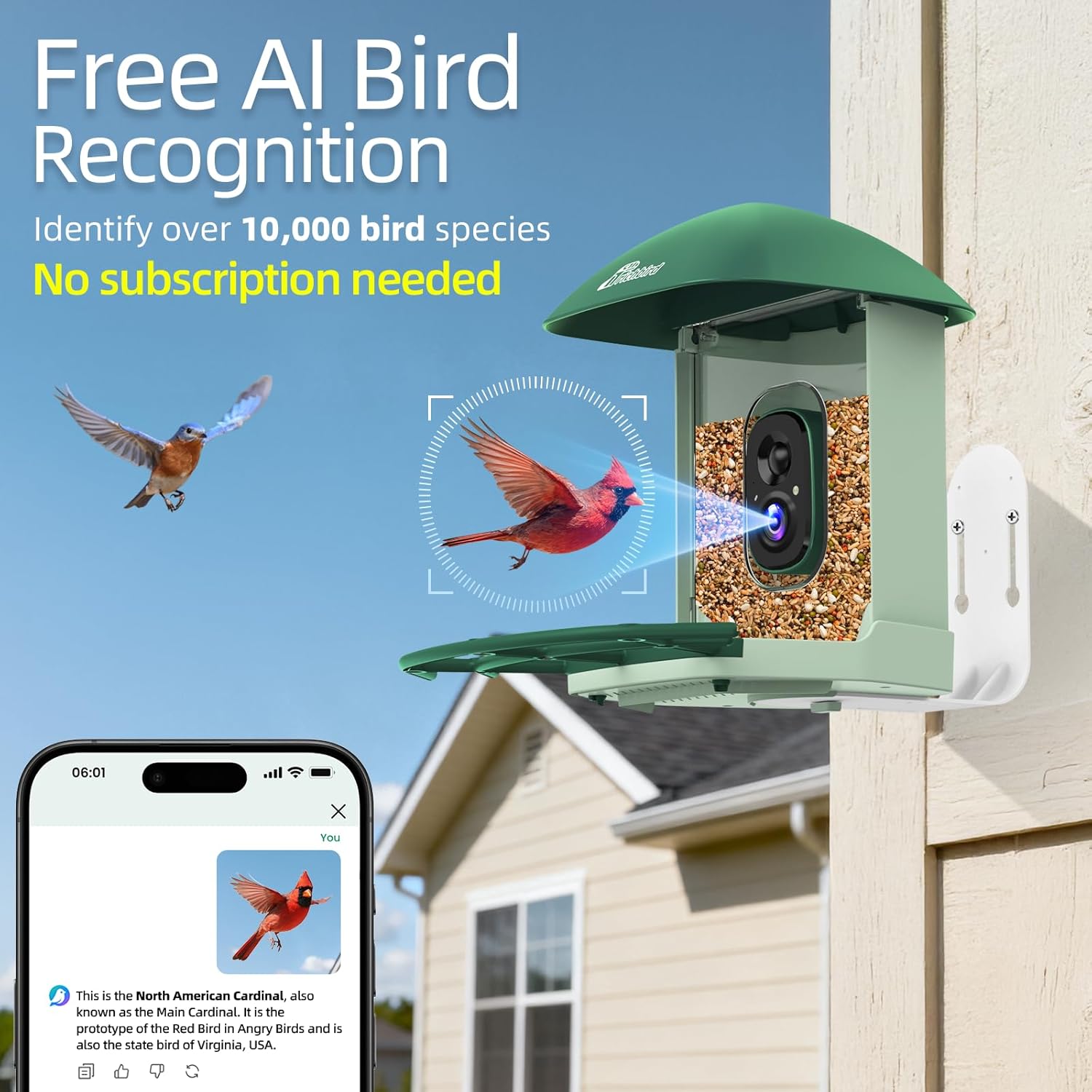Smart Bird Feeder with 4MP HD Camera, Birdwatching Camera with Free AI Identify Birds & Solar Panel for Outdoors, Auto Video Capture & Instant Notifications, Green