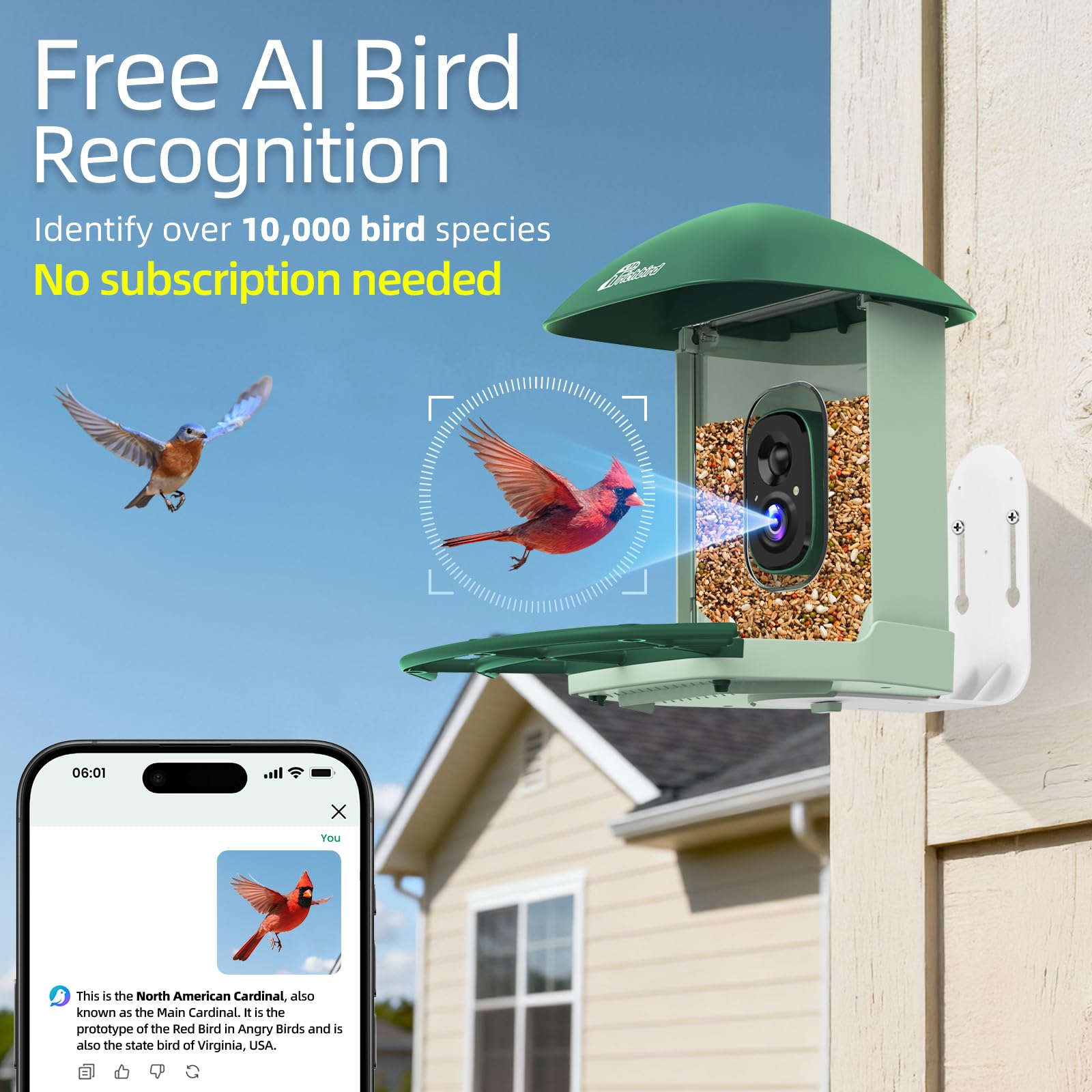 Comedero inteligente mejorado para pájaros con cámara HD 4K, cámara de observación de aves con IA para identificar pájaros y panel solar para exteriores, captura automática de video y notificaciones