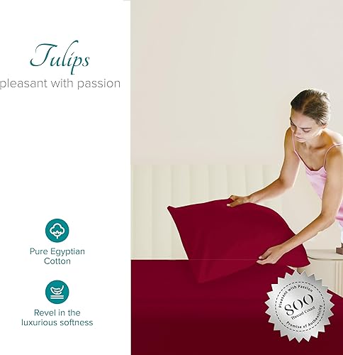 Vista 164 de Carressa Linen Juego de sábanas 100% de algodón egipcio, tamaño Queen, 6 piezas de 800 hilos de algodón egipcio, tamaño Queen, color blanco, suave