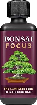 Growth Technology Ltd Bonsai Focus Feed, Black, 300ml
