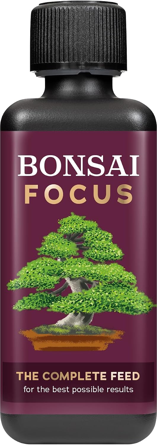 Bonsai Focus koncentrat nawozu płynnego 300 ml