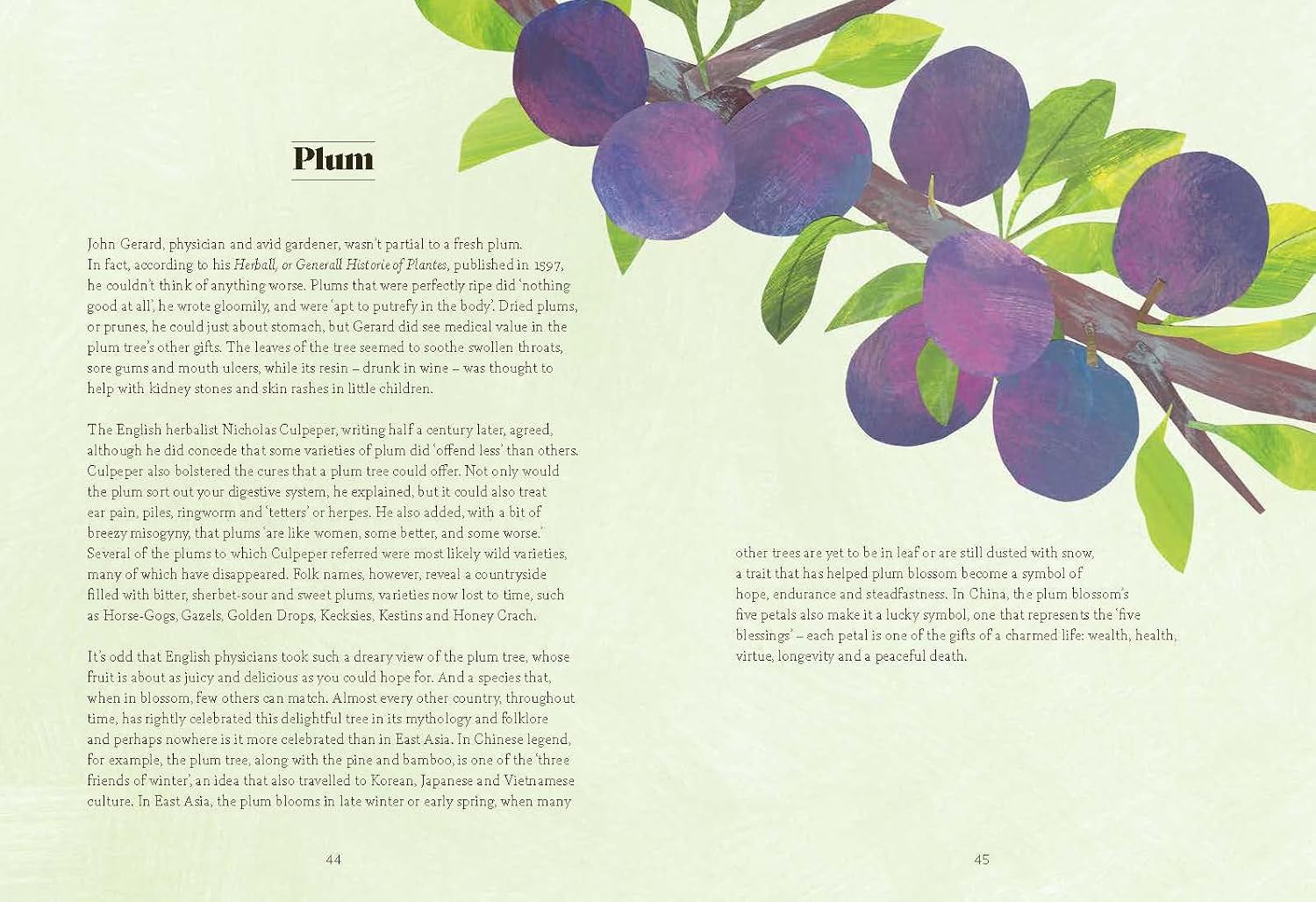 Tree Lore: The Myths, Folklore and Meaning of Trees