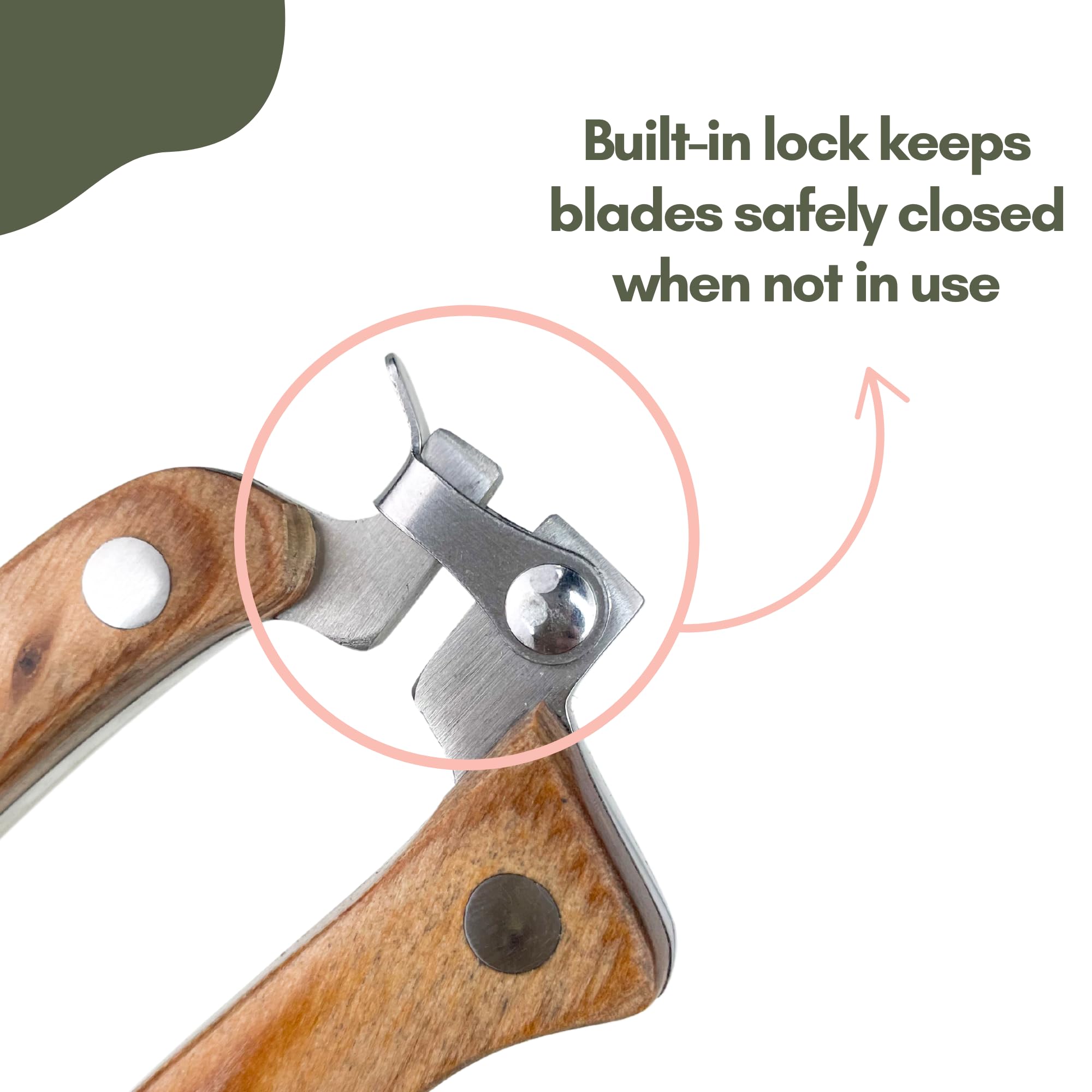 Mossify Gardening Shears Slim 8.5” Pruning Scissors – Fine Stainless Steel – Herb Scissors Comfortable Wooden Handle, Perfect Flower Scissors for Cutting Fresh Flowers, Precise Plant Trimming Scissors