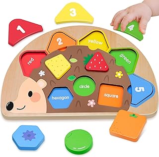 Montessori Toy from 1 Year, Toy from 1 2 Years Wooden Puzzle Children's Toy Gift 1 2 Years Girls Boys Motor Skills Toy with Sorting Game Wooden Toy for Learning Toy from 1 2 3 Years