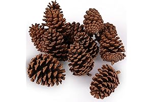 JOHOUSE Jumbo Pine Cones: Natural Beauty for Christmas Decor