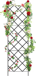 Giant Trellis For Climbing Plants