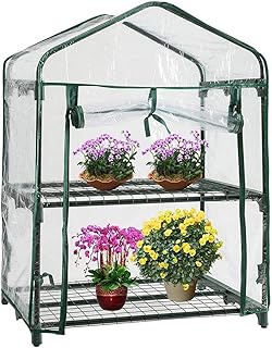 Garden Store Direct Mini Greenhouse Cold Frame, Portable Plant Growing & Propagation for Home, Work, Allotment, Balconies - Choose from 2 Tier, 3 Tier, 4 Tier or 5 Tier (2 Tier Growhouse)