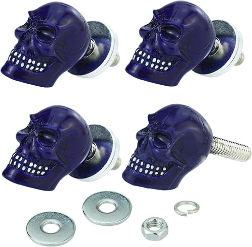 Arenbel Tornillos de fijación de placa de motocicleta, marco de placa de automóvil, tornillos de calavera, kit de tuercas de montaje, repuesto para