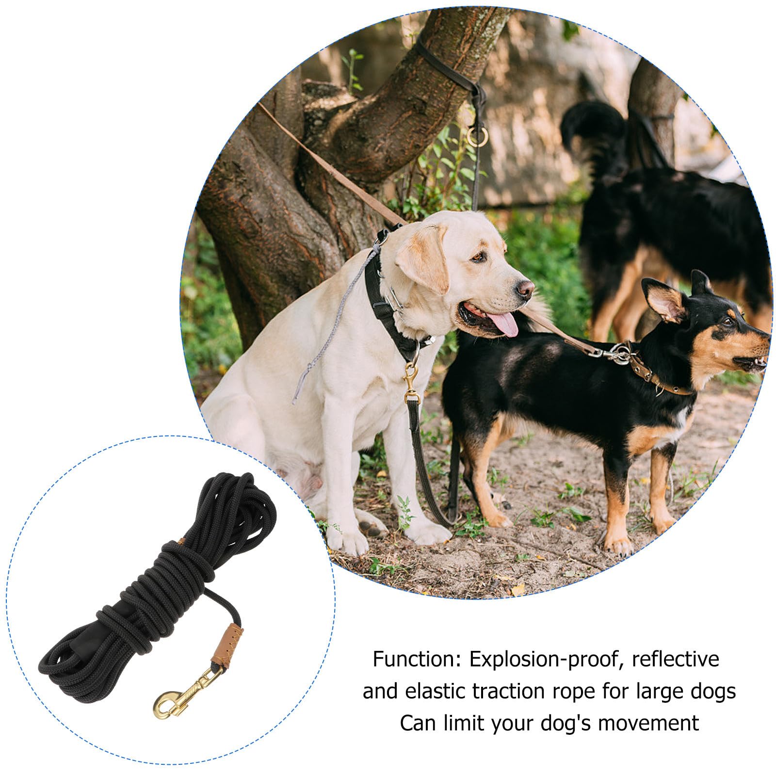 Correa de Tracción para Perros, Entrenamiento y Paseo, 10 Metros