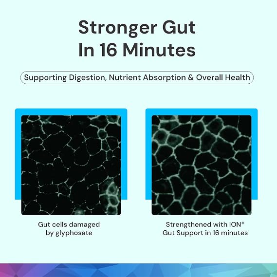 ION* Intelligence of Nature Gut Support Supplement, 32 Fl Oz (Pack of 1) | Liquid Supplement, Gut & Digestive Health Liquid Drops, Cleanse & Detox with Humic Extract, Adults & Kids 4+