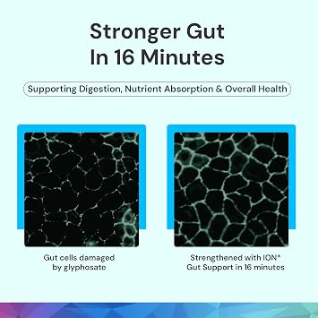 ION* Intelligence of Nature Gut Support Supplement, 32 Fl Oz (Pack of 1) | Liquid Supplement, Gut & Digestive Health Liquid Drops, Cleanse & Detox with Humic Extract, Adults & Kids 4+
