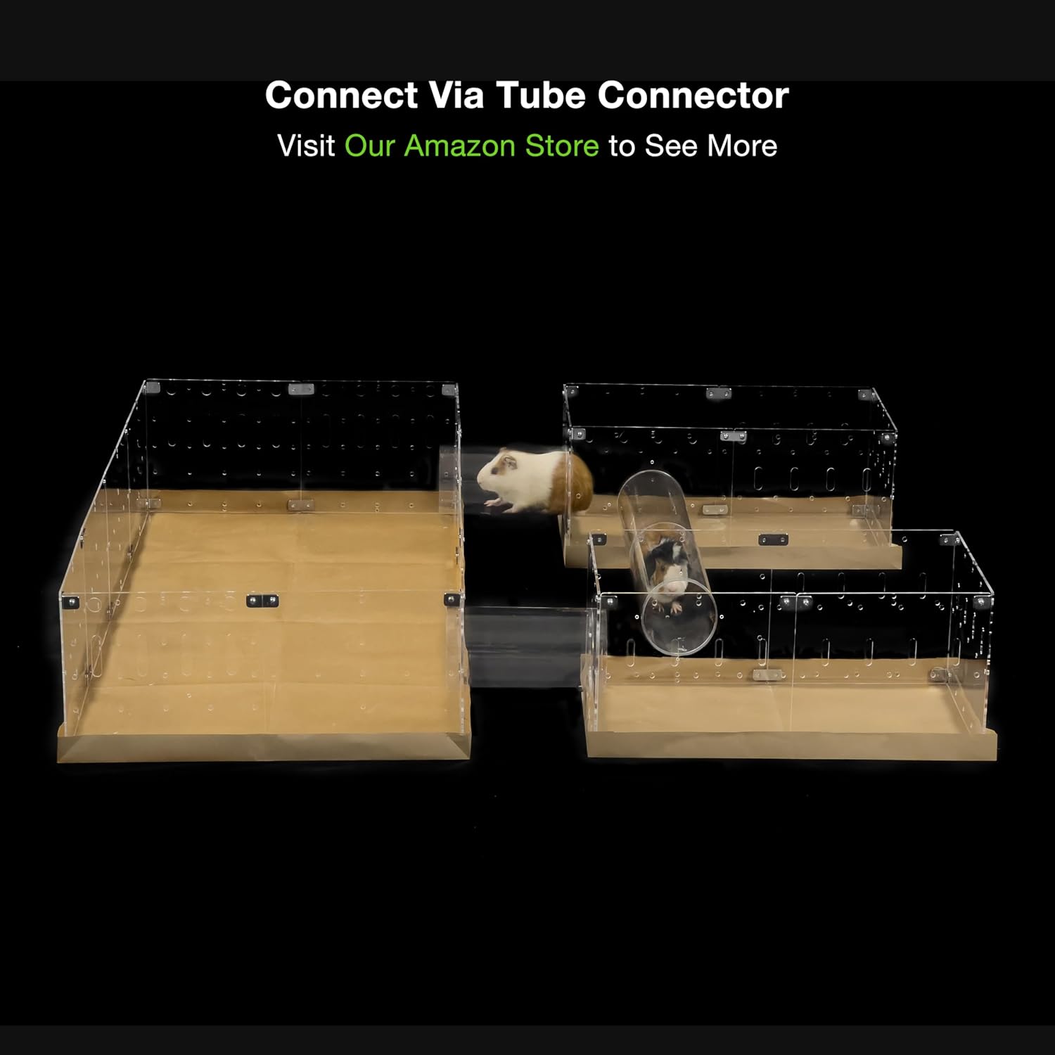 GuineaLoft™ Model-C2 Acrylic Cage - Small 2x1ft Open Cage image 3