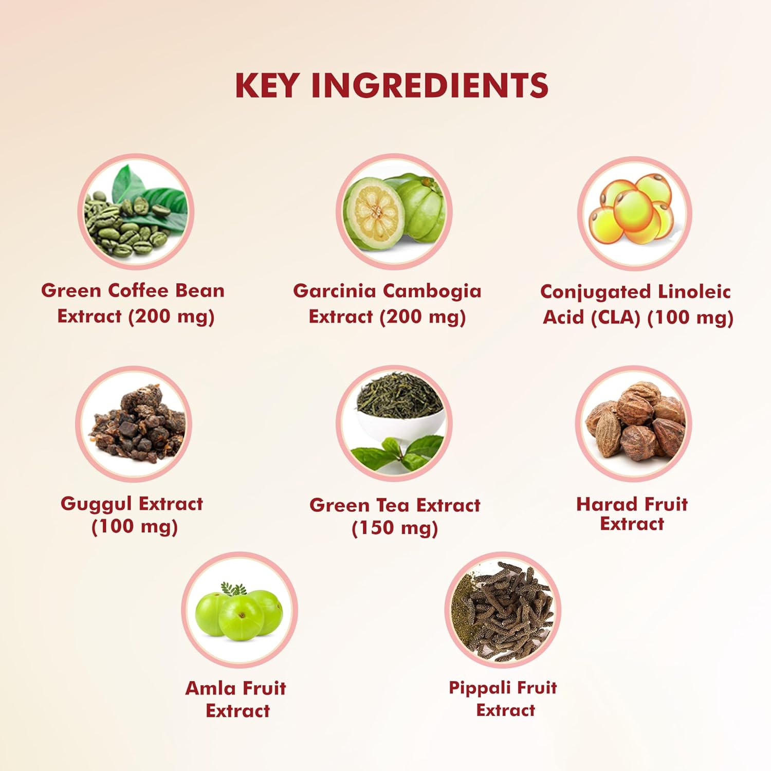 Buy Now Dr. Morepen Fat Burner Tablet 100% Natural And Safe | 60 Tab...