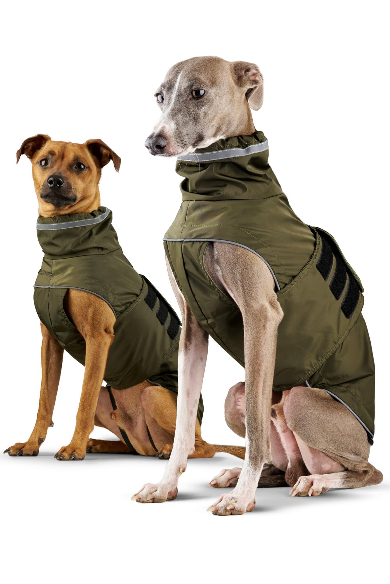 Hunderegenmantel London I Mit extra langem YKK® Reißverschluss für Halsband & Geschirr I Für kleine, mittlere & große Hunde I Wasserdicht & Maschinenwaschbar I Regenmantel für Hunde (45)