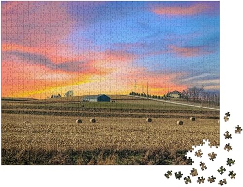 Miniatura 2 de A Desolate Corn Field in The Middle of Iowa Under a Orang... Rompecabezas con 1000 piezas