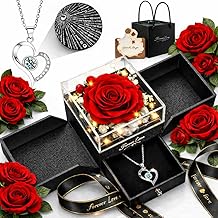 送给她女人的情人节礼物 女朋友 妻子 未婚妻 - 保存的真玫瑰与心项链 &ldquo;我爱你&rdquo;在 100 种语言中,情人节永远的花