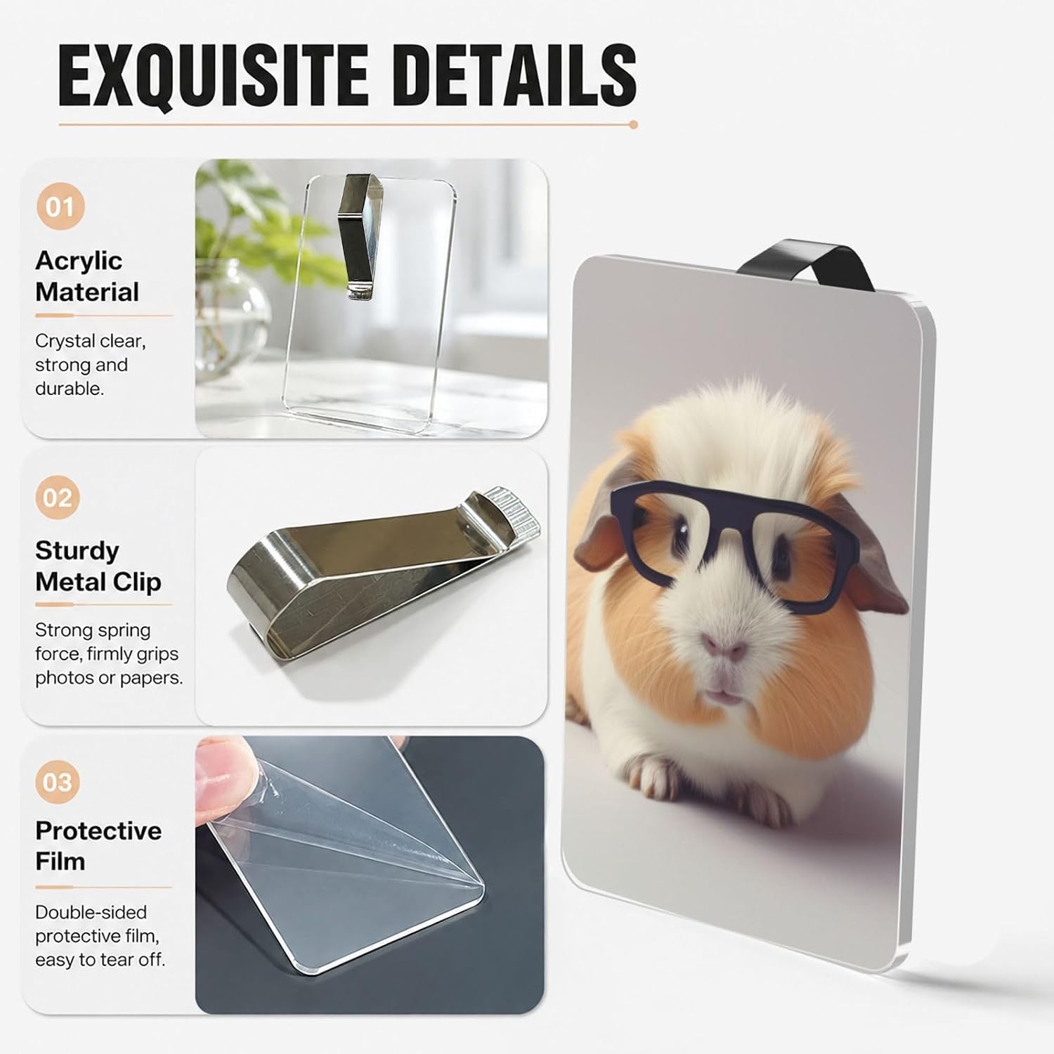 Animal With Glasses Picture Holder Acrylic Car Visor Photo Clip image 4