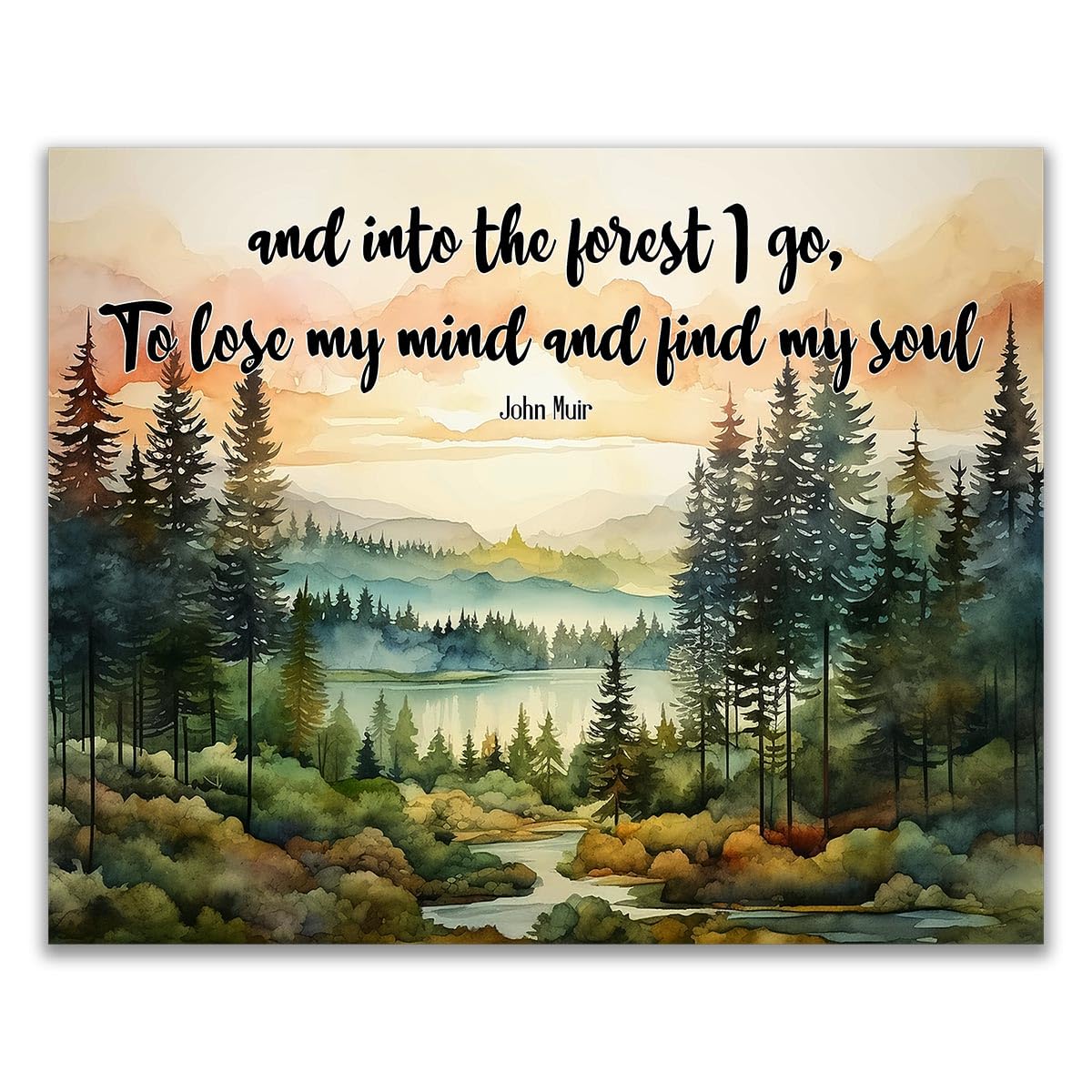Amazon.com: John Muir Quote And Into the Forest I Go Art Wall Decor ...