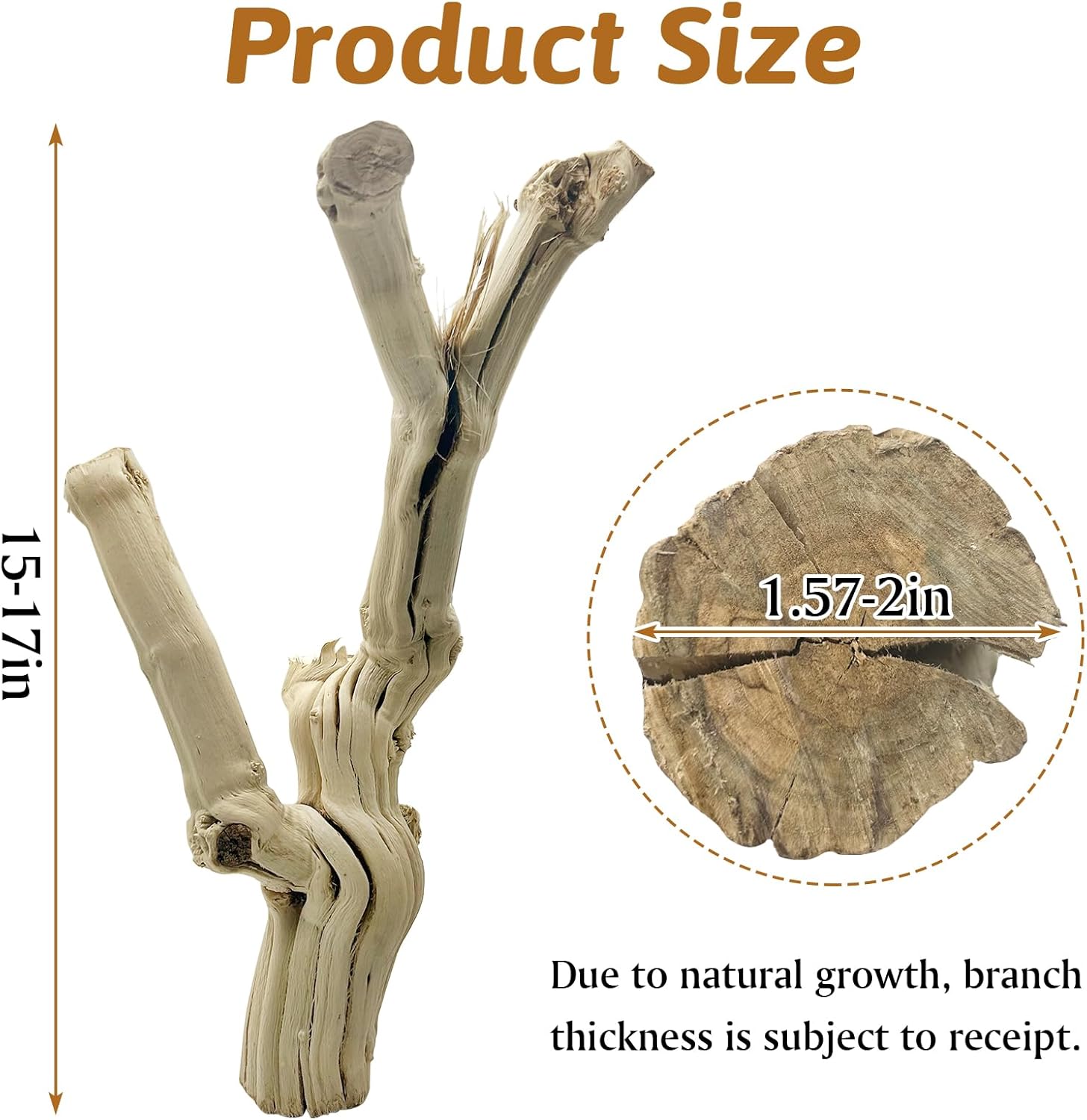 Reptile Branches for Climbing Natural Snake Climb Branch Extra Large Wood Forest Tree Trunk Decor Lizard Habitat Terrarium Decorations for Bearded Dragon Geckos Chameleon Frog