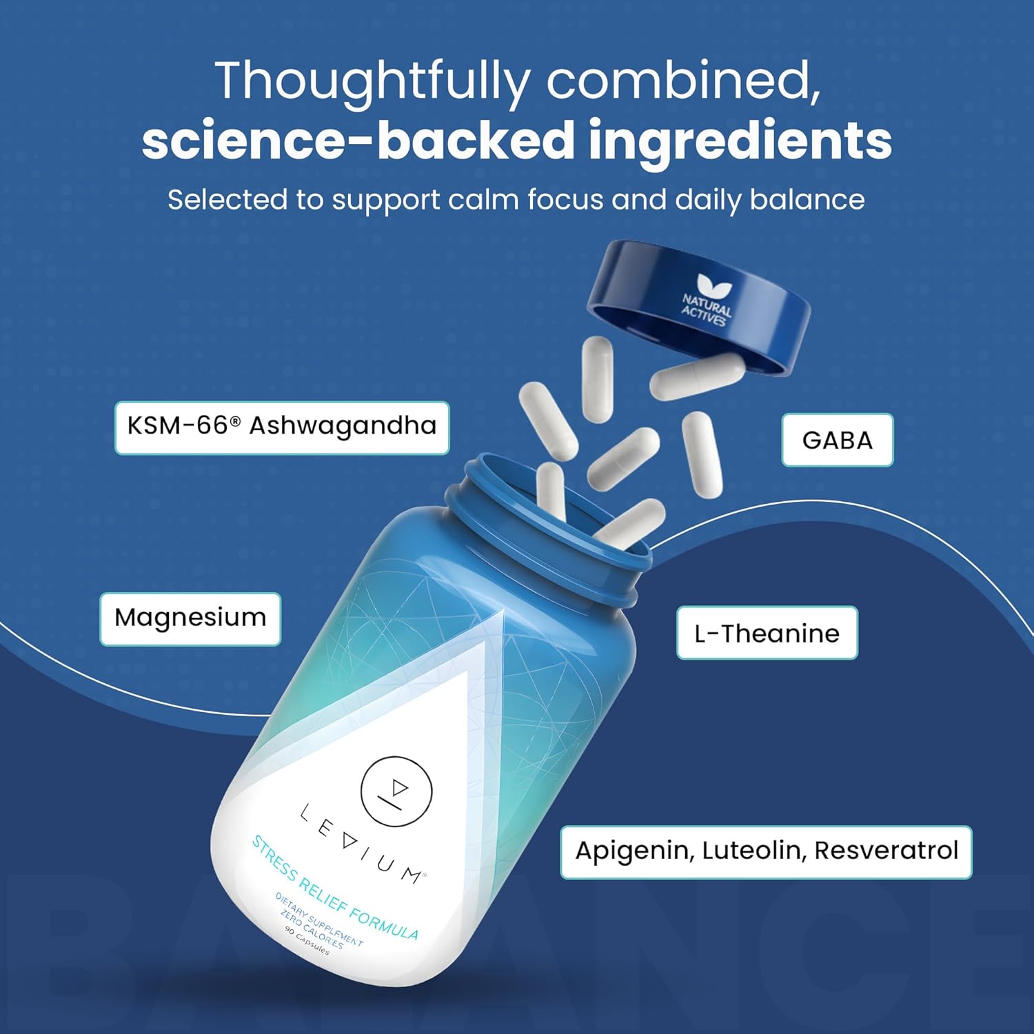 Levium Stress Supplement for Calm & Mood Support | Ashwagandha KSM-66, Magnesium, L-Theanine & GABA | Supports Mental Focus & Relaxation | Non-Habit Forming | 90 Capsules