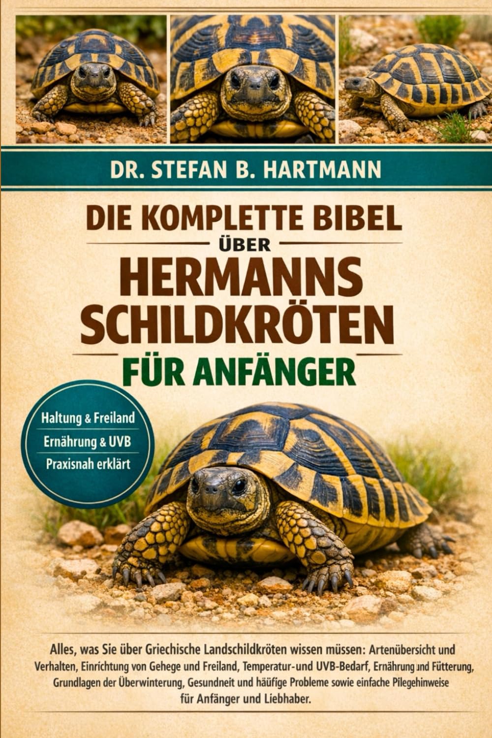 DIE KOMPLETTE BIBEL ÜBER HERMANNS SCHILDKRÖTEN FÜR ANFÄNGER: Alles, was Sie über Griechische Landschildkröten wissen müssen: Artenübersicht und ... Pflegehinweise für Anfänger und Liebhaber.