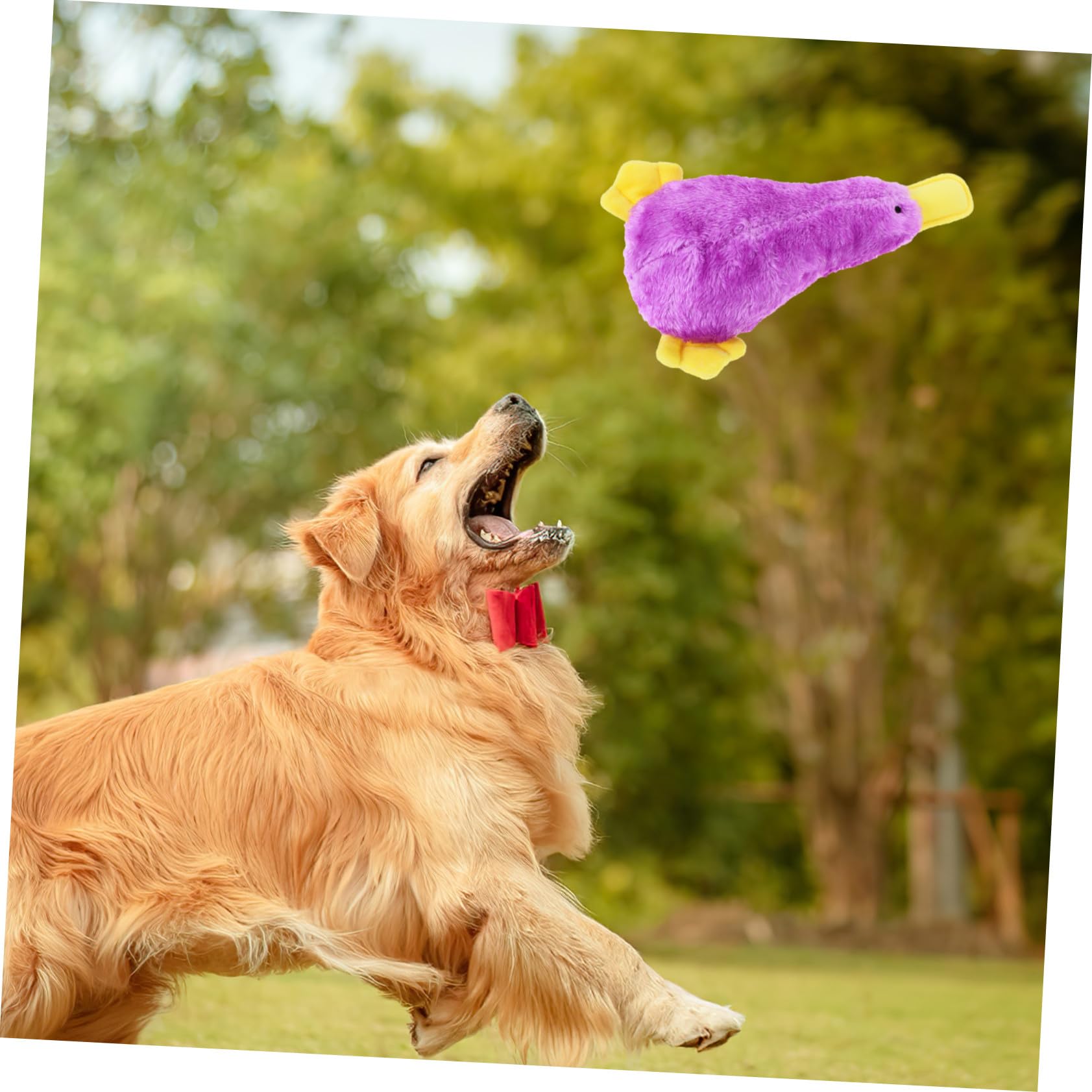 Couineur Résistant Forme de Canard pour Chien Peluche Légère et Facile à Nettoyer pour Chiots Dentition et Dressage et Sûr pour Mâcher