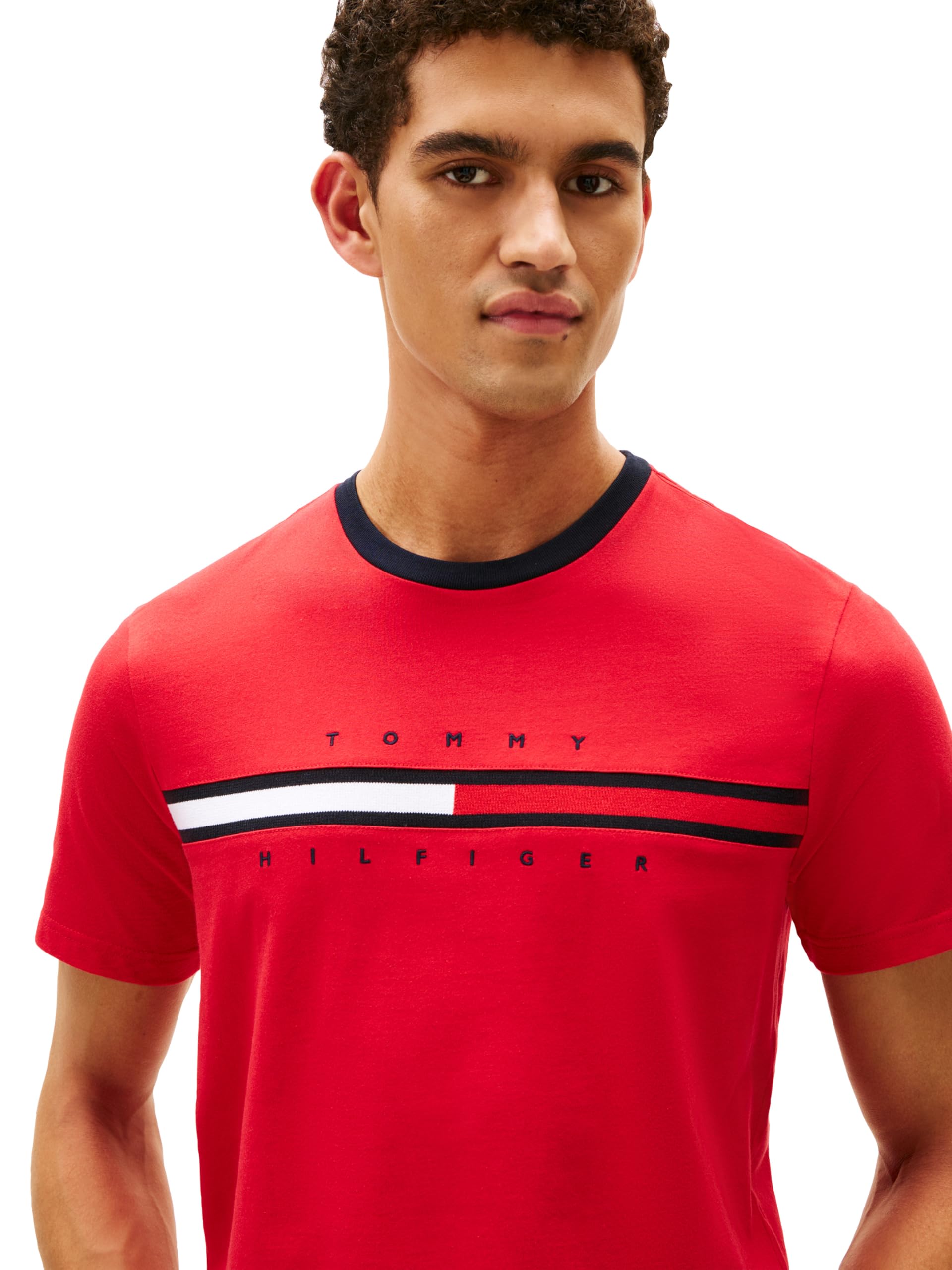 Tommy Hilfiger Men's Short Sleeve Signature Stripe Graphic T-shirt
