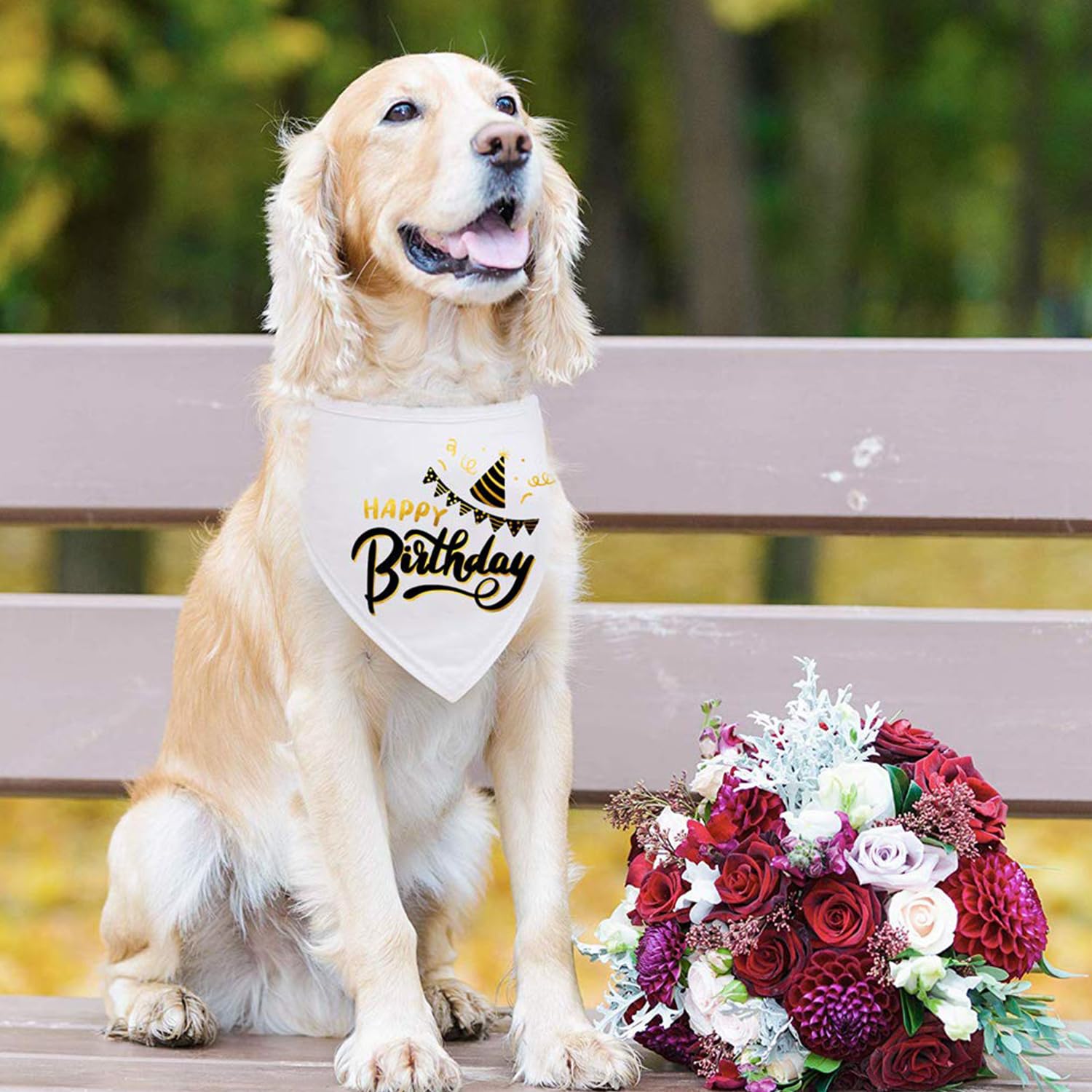 Hundehalstuch 'Happy Birthday' – 2 Stück, Kariert, Aus Weicher Baumwolle, Für Kleine Bis Große Hunde