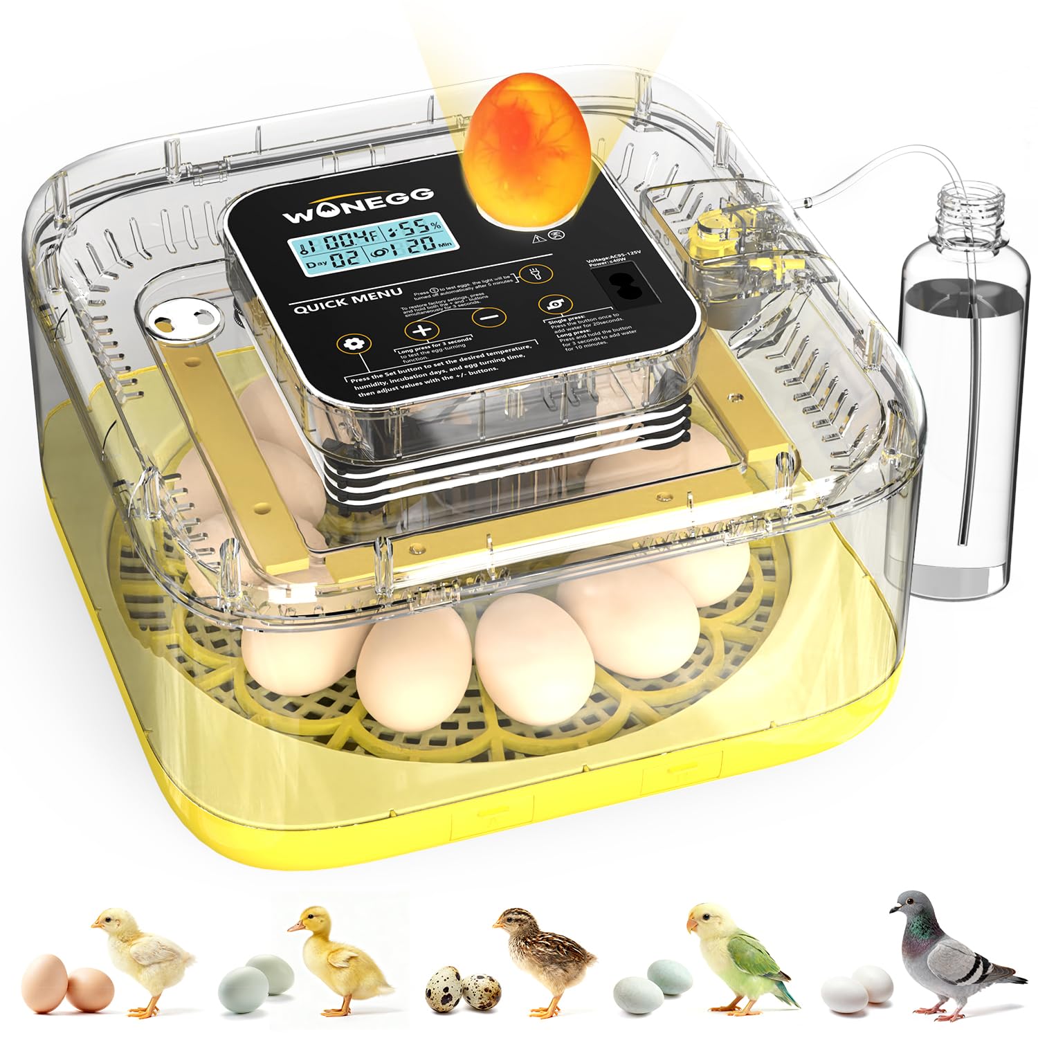 WONEGG FYY12 Incubator