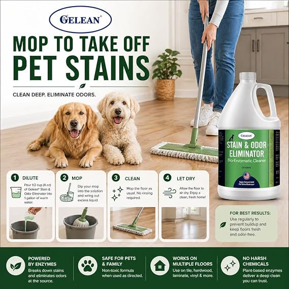 Strong Stain & Odor Eliminator - Cats & Dog Enzymatic Urine Destroyer -MADE IN USA- Fresh Scent Multi-Purpose Pet Stain Remover for Floors, Carpet, Bathrooms, Drains & Trash Deodorizer cleaner, 128oz