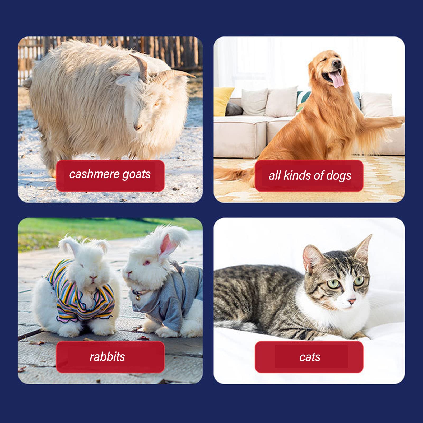 BestAlice Tijeras de Ovejas Eléctricas Profesionales, Cortapelos de Animales para Ovejas, Alpacas, Cabras, Máquina de Corte de Animales para Gatos, Perros, Mascotas, Tijeras de Pelo(EU)