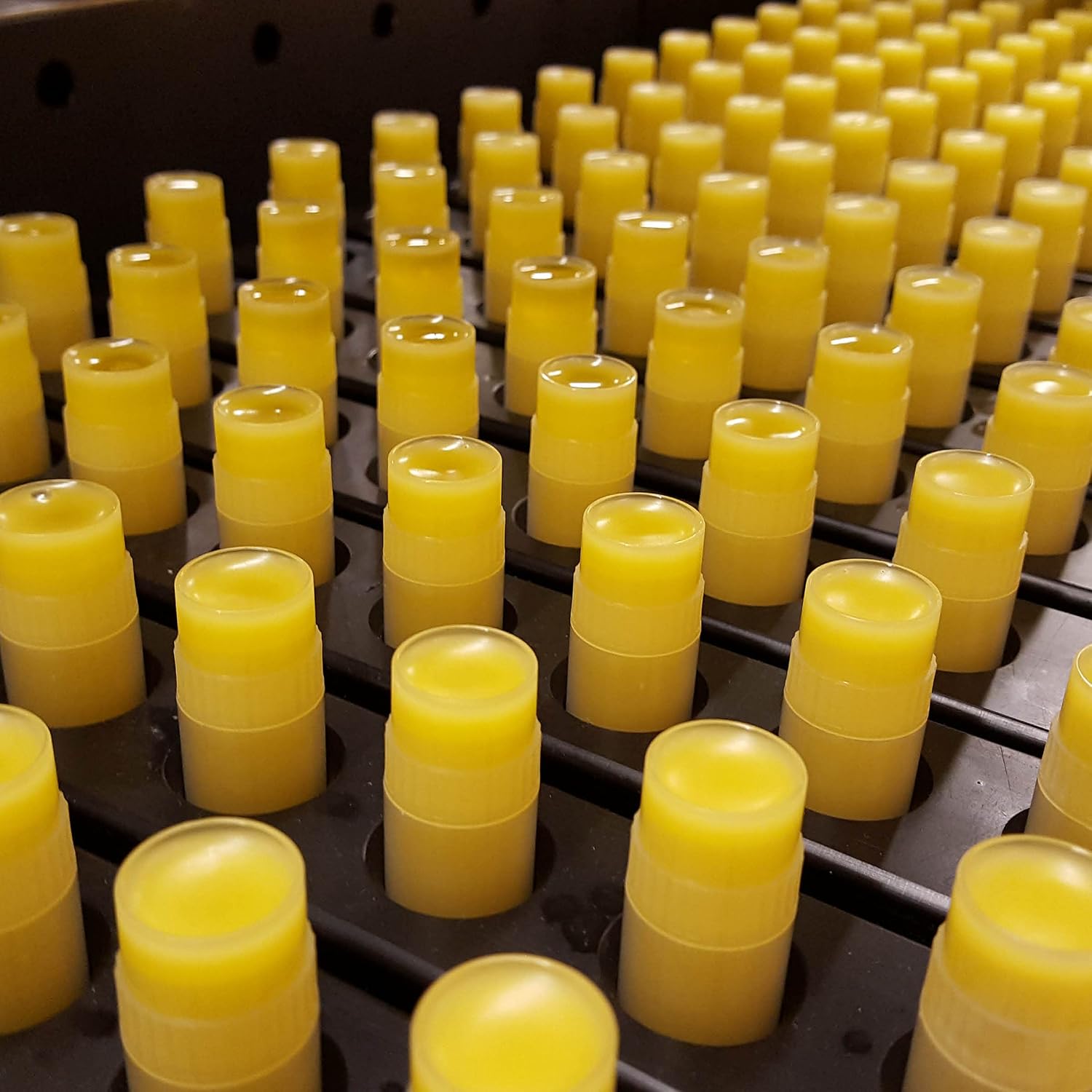 Cocoa Butter Lip Balm