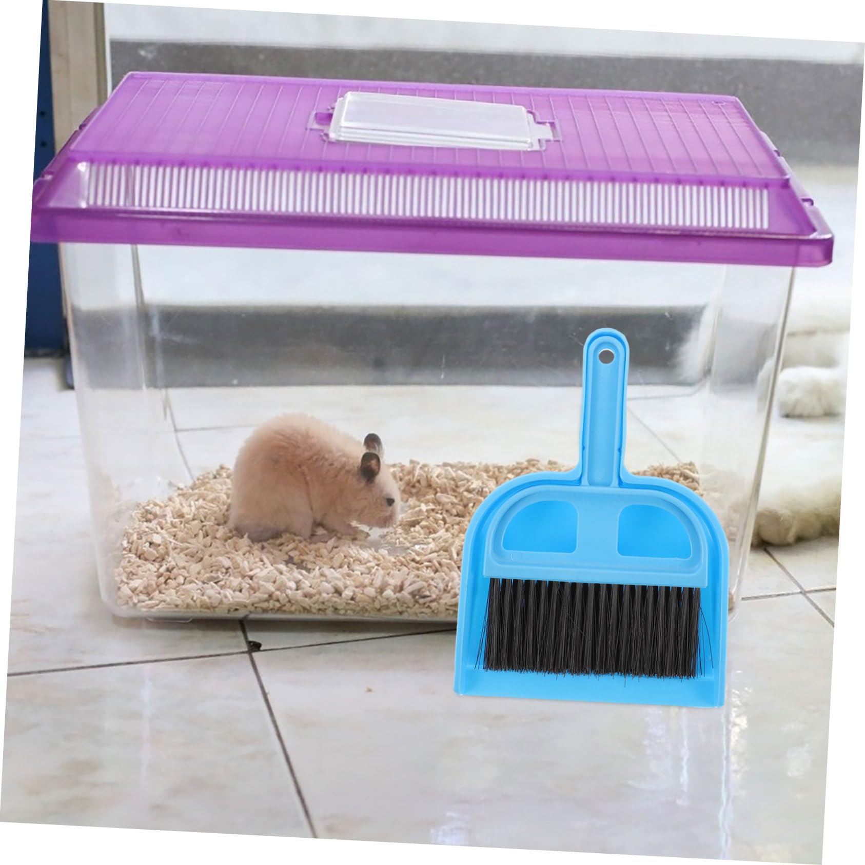 CONGARTENO 1 Set Pet Cleaning Tool Squeegee Grout Cleaner Brush Air Broom Push Broom Floor Scrub Brush Broom with Dustpan Handle Scrub Brushes for Cleaning Bunny Cage Brooms Cat Plastic Blue