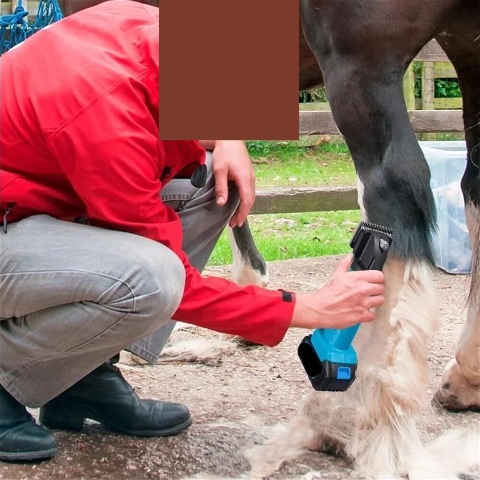Forbici elettriche, Tosatrice Elettrica Per Pecore Senza Fili