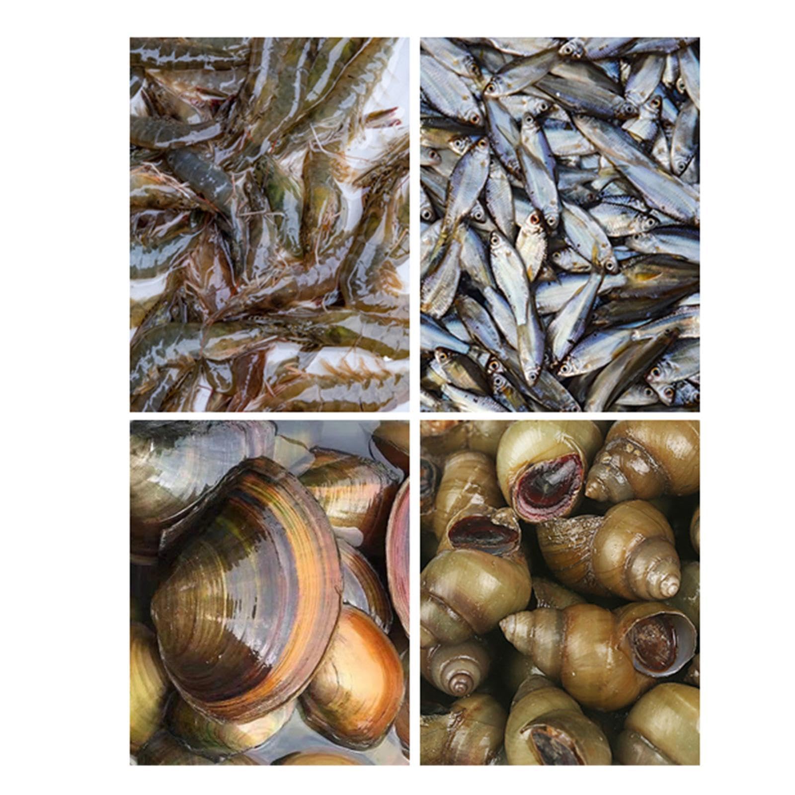 Rastrello per Vongole, Retino per Telline, Attrezzo per Scavare Vongole, Rastrello a Artiglio con Cesto, Rastrello Mezza Luna Rete Pesca Arselaio Granchi Telline Cozze Cannolicchi, Type B