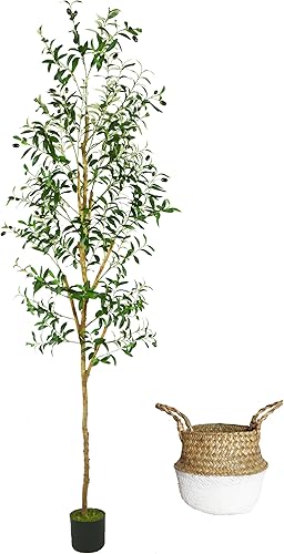 Árbol de olivo artificial, planta de hojas de olivo falsas de 6 pies con canasta, árbol de seda topiario sintético perfecto para decoración de