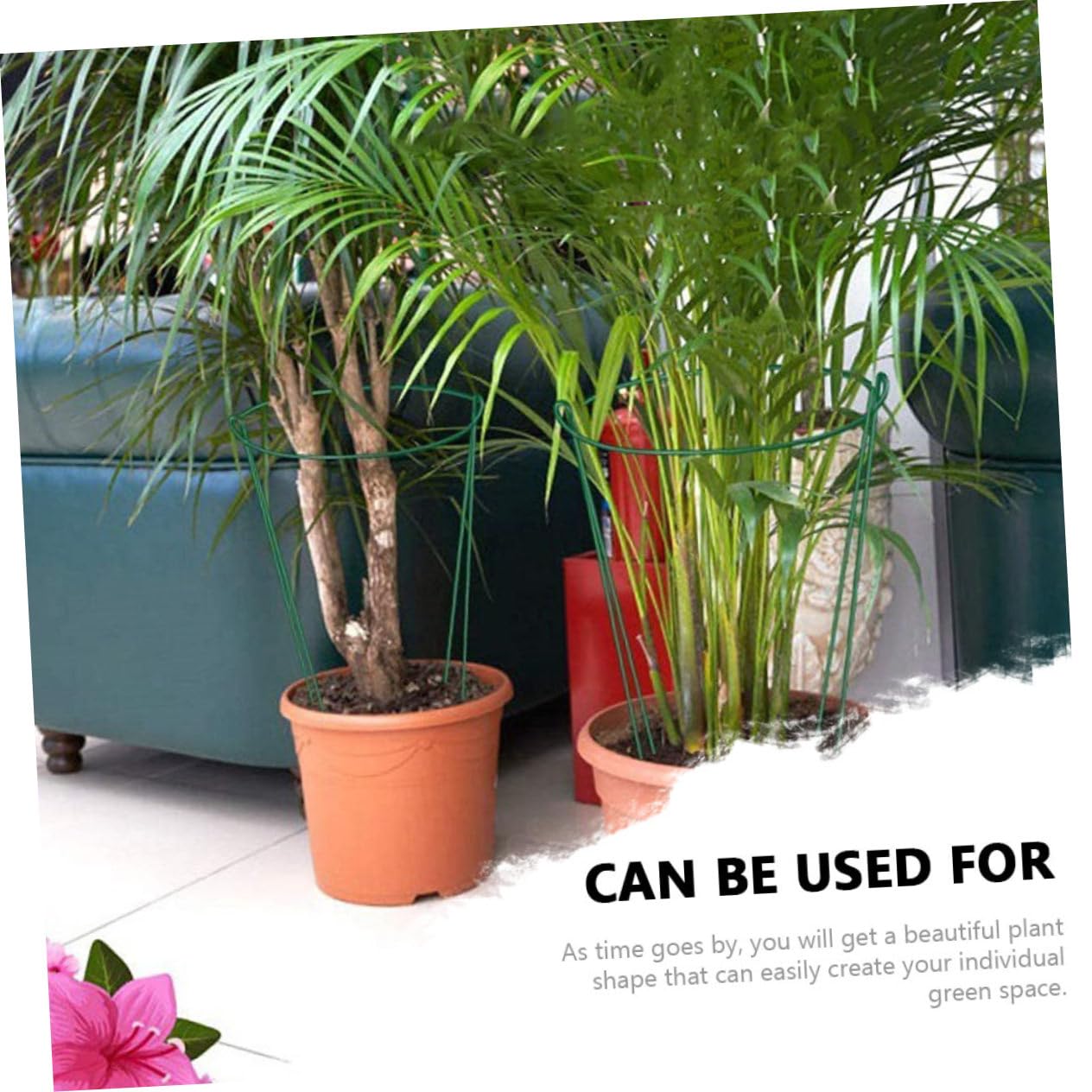 6 Piezas De Estacas De Soporte para Plantas Soporte para Plantas Soporte para Plantas Soporte para Plantas Semicircular Soporte para Plantas En Maceta Accesorio De Jardín