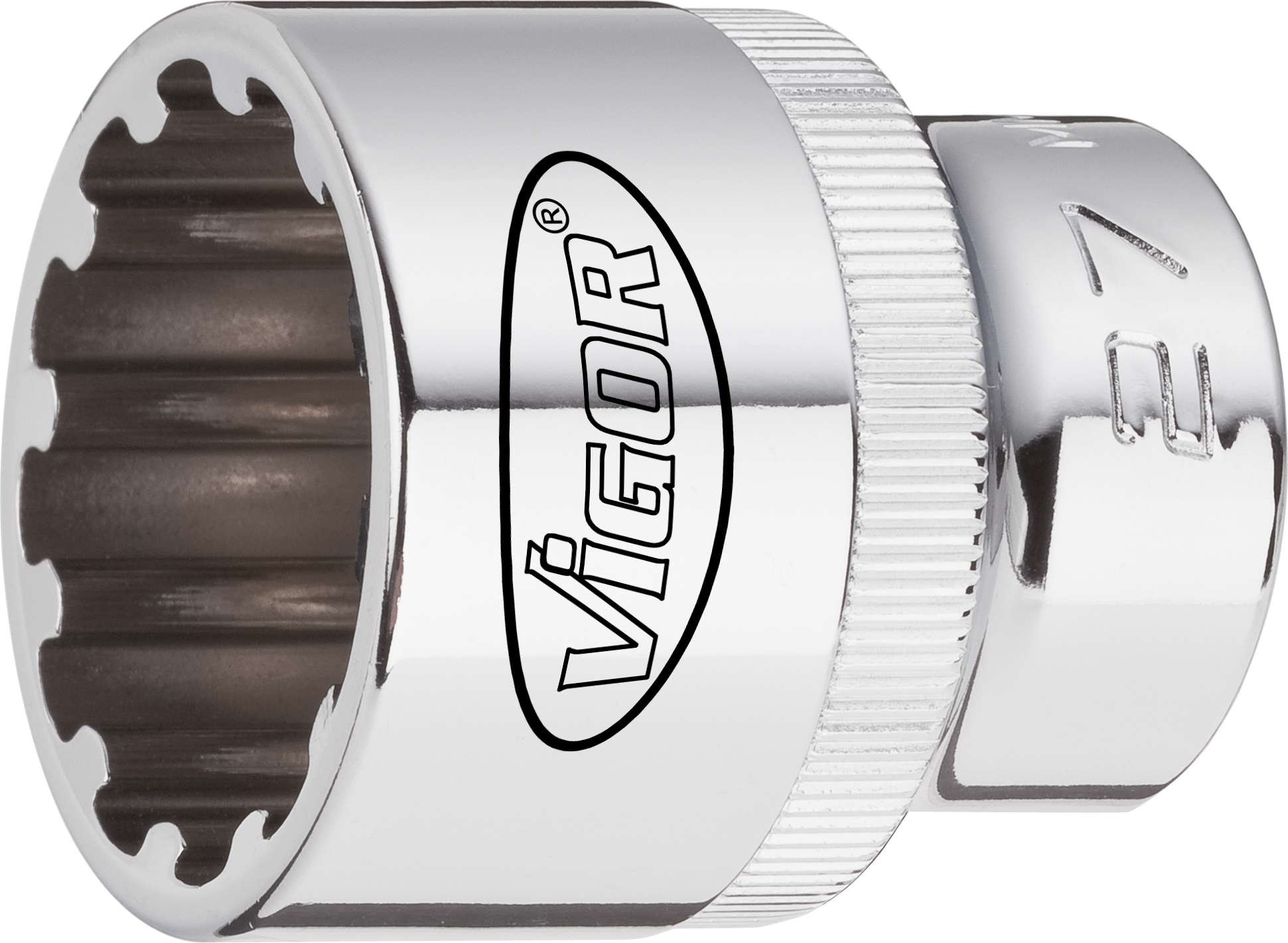 Vigor Multi-profile socket spanner insert, square 12.5 mm, spanner width: 17, total length: 38.1 mm, 1 piece, V1995