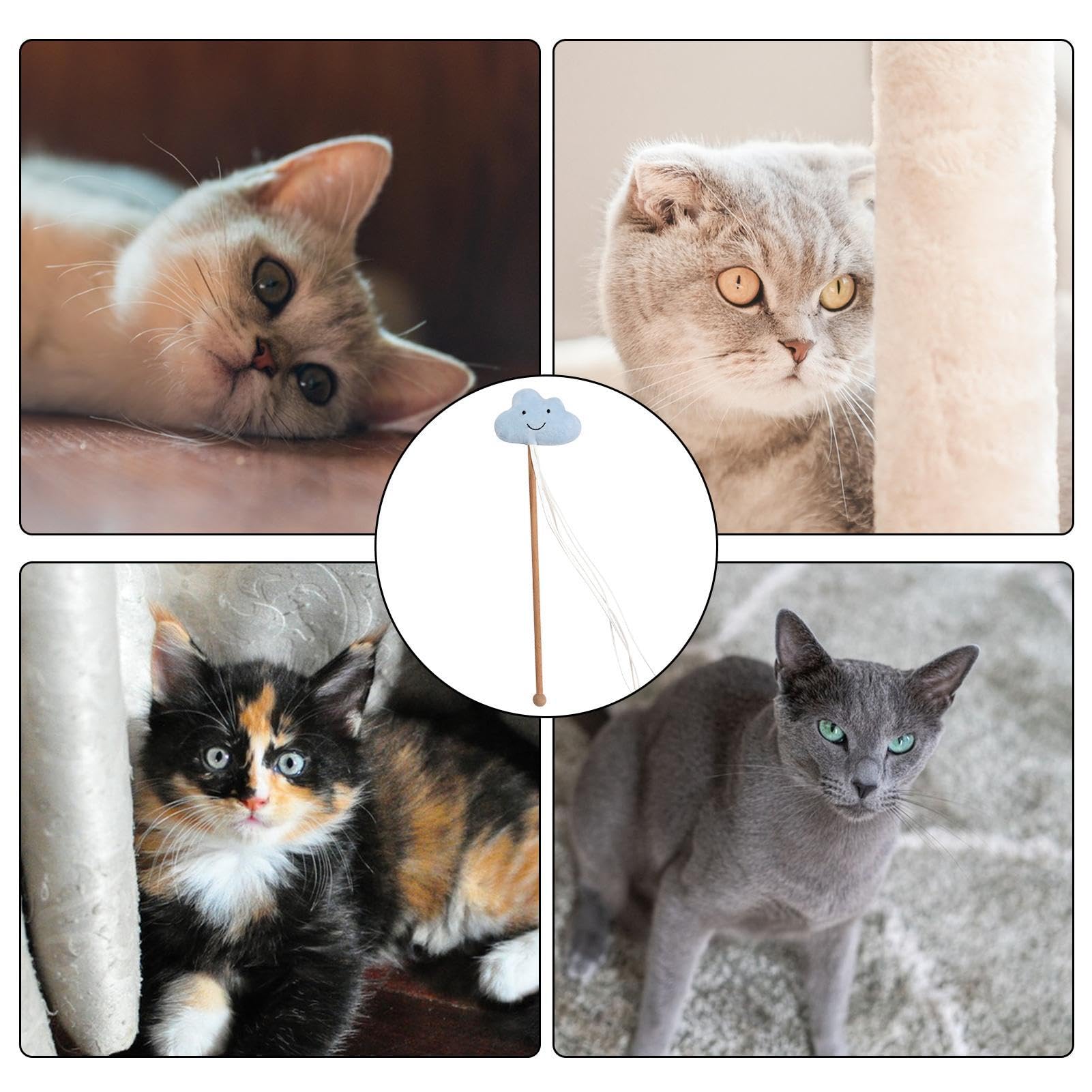 Jouet Interactif étoile Pour Chat - Stimule L'escalade Et Le Jeu Mental, Motorisation Silencieuse Et 3 Vitesses